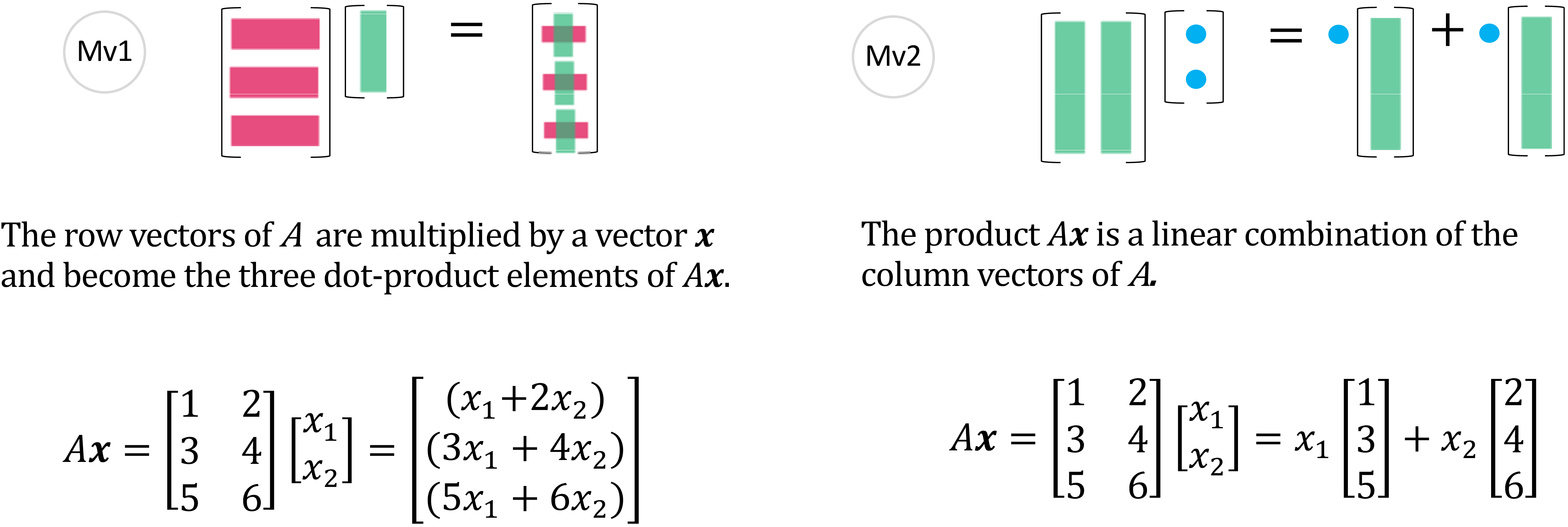 矩阵乘以向量- (Mv1), (Mv2)