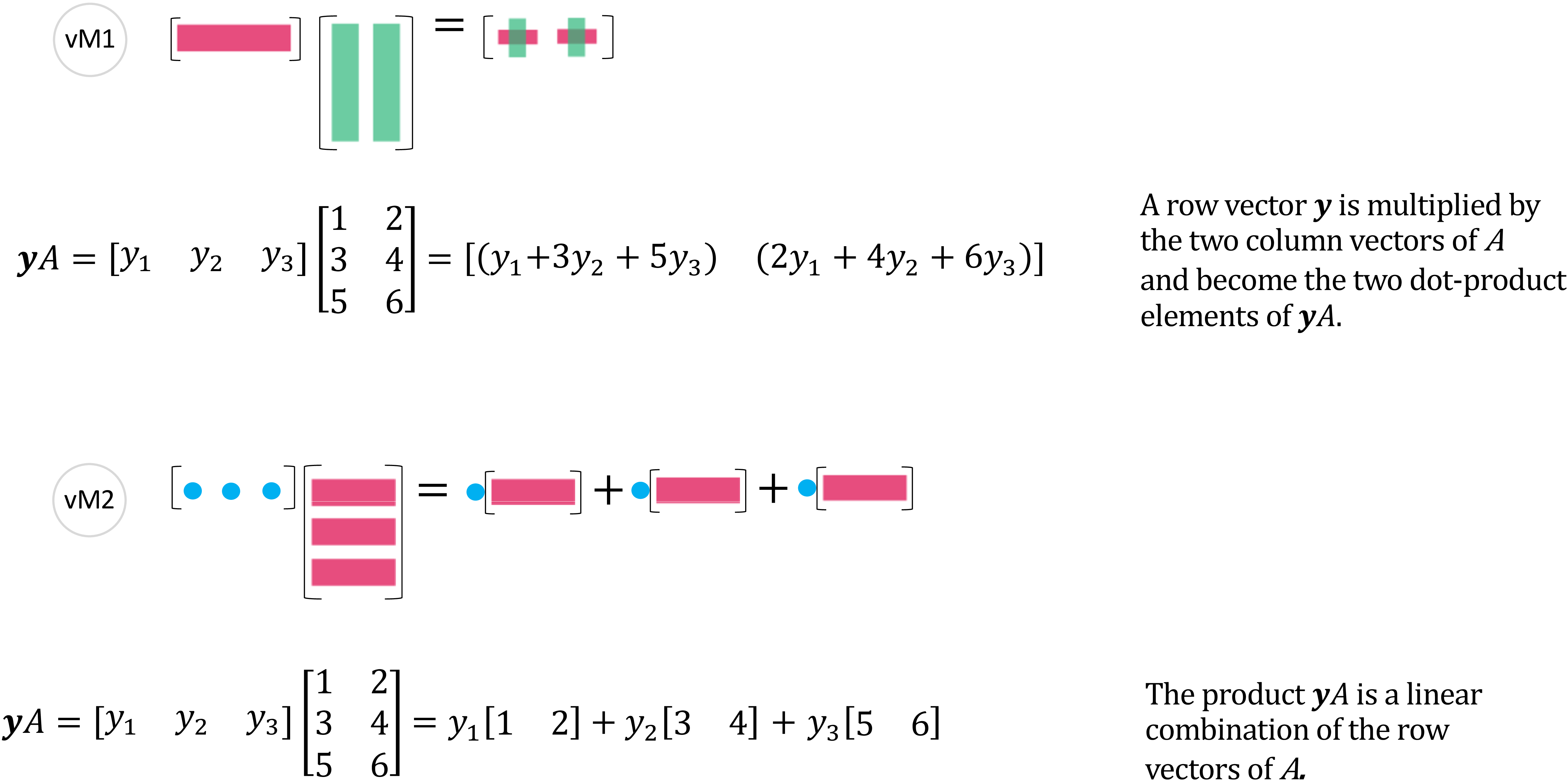 向量乘以矩阵 - (vM1), (vM2)